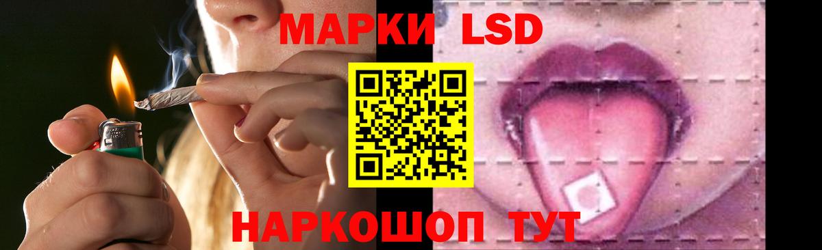 omg tor  LSD-25 экстази кислота  Новодвинск  Вход с VPN  LSD-25 экстази ecstasy 