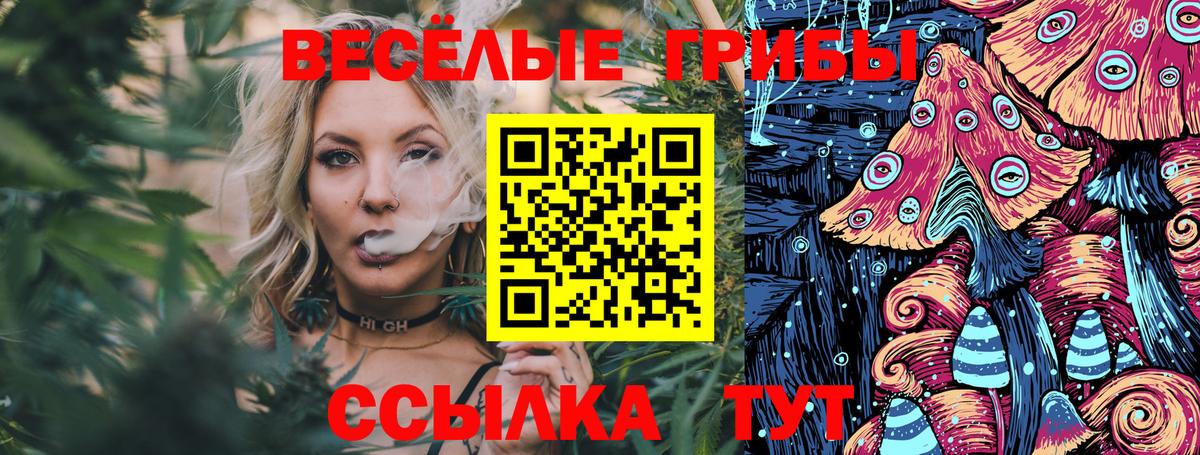 Псилоцибиновые грибы мухоморы Новодвинск