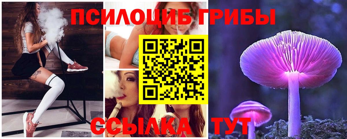 Новодвинск  Галлюциногенные грибы GOLDEN TEACHER  Вход с VPN 